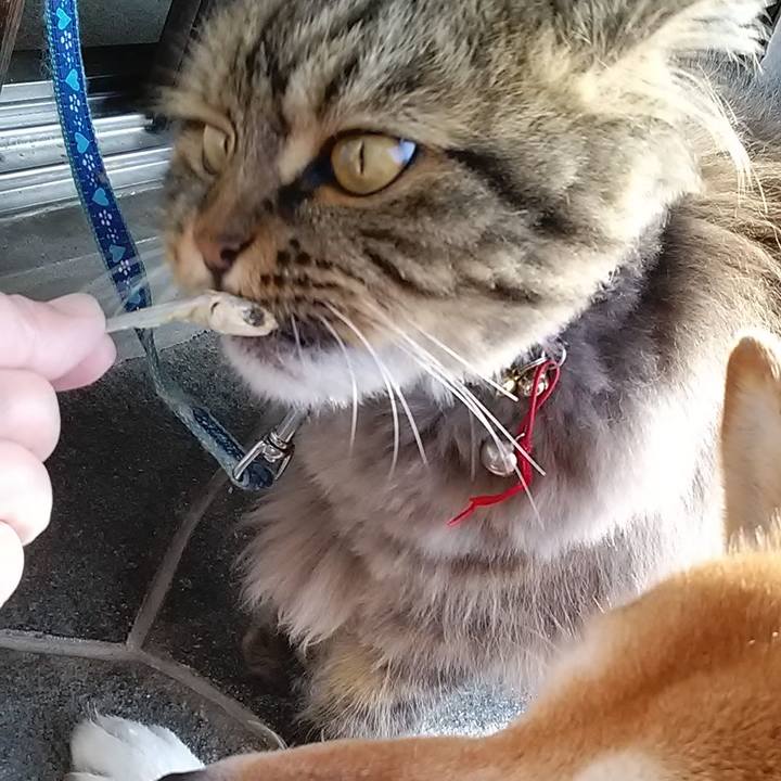 D1ef2787 a83c 4953 ac41 40d623b113f4 1620557068720