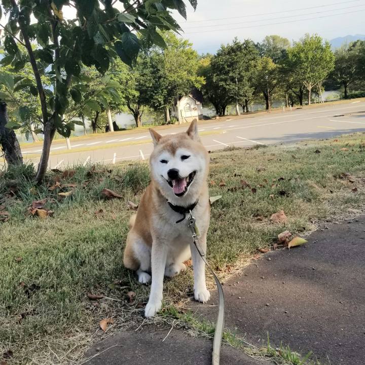 D1ef2b6c f399 4957 86ca 3220a55452d0 1694933992241