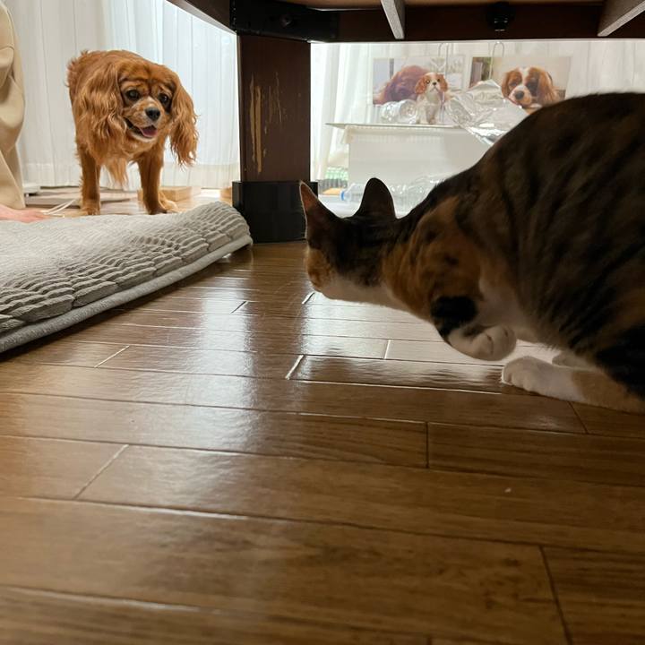 D1ef6137 e3d8 4f81 abdf 708f1385115e 1658874508545