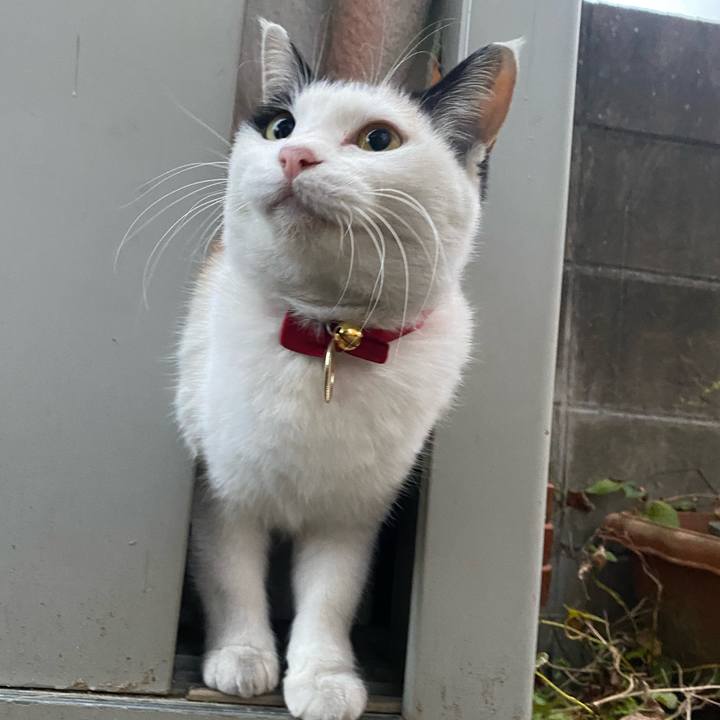 D1ef7135 6334 4cea ad4a 1500c1bcaca9 1637619461621