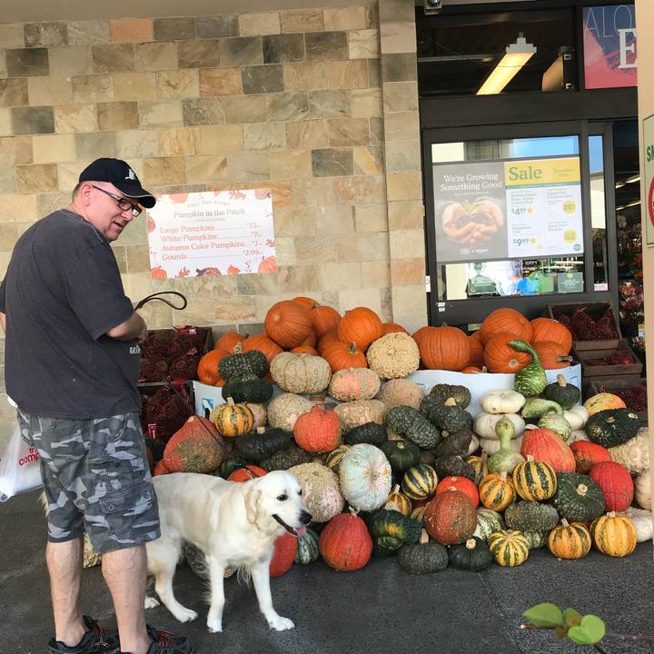 D1ef92c3 ae09 4c0a bd17 c5fdc48a77a0 1509431271472