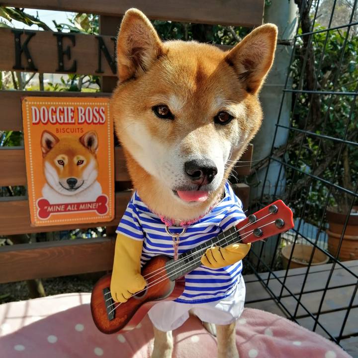 D1efb489 9a2a 498d b571 9dbc2fd03046 1613960911859