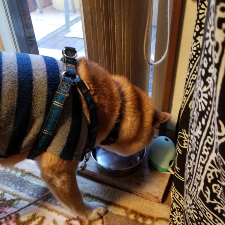 D1efb66f a14f 454f 9caf b17c033ba9c7 1549958872579