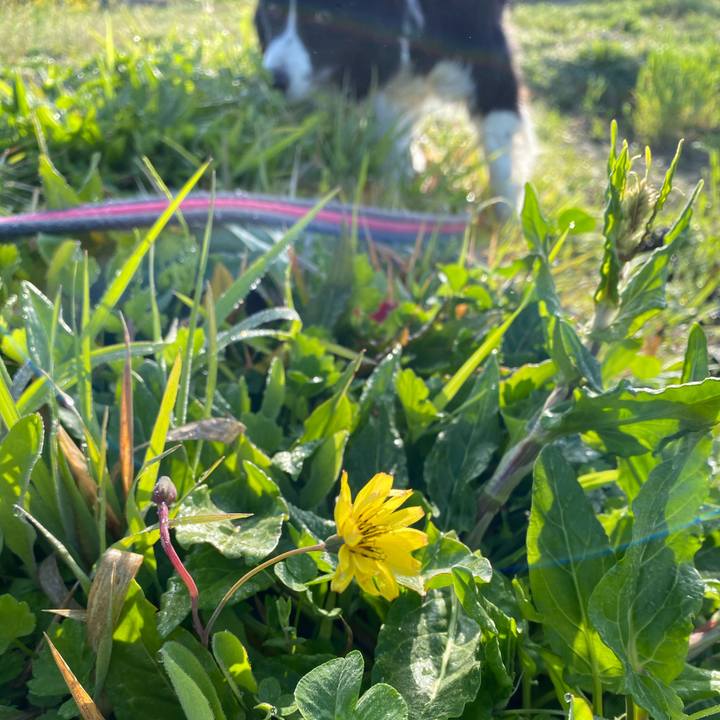 D1efeb83 babc 484c a37b 3456965076f9 1616027312404