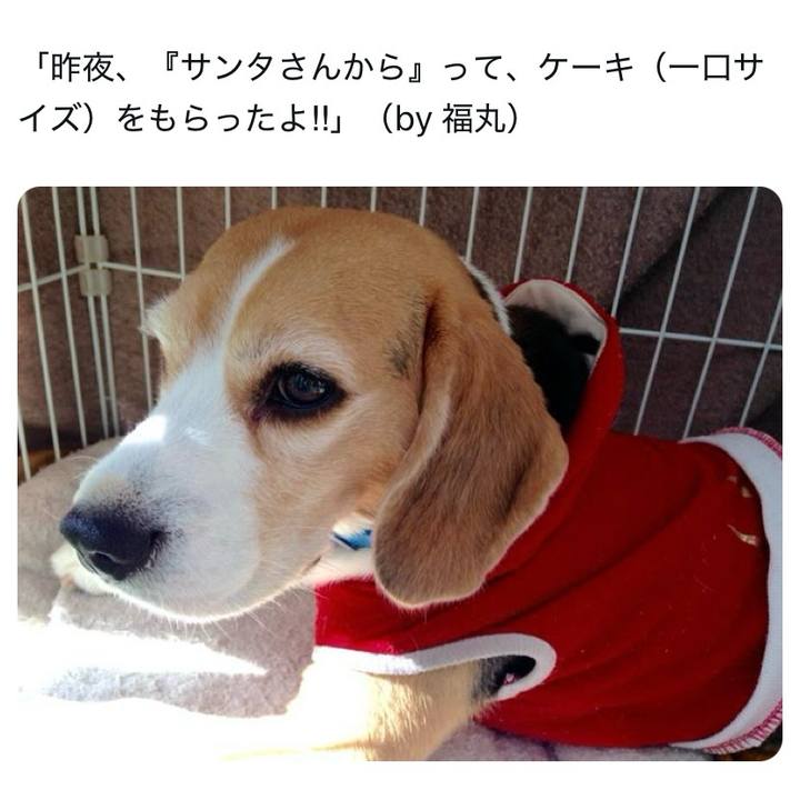 D1f0023d 02d5 415e a221 4bf778624cc3 1735086007183