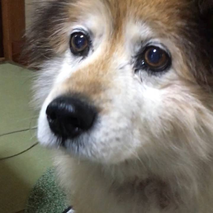 D1f00a20 af6d 4d03 bf90 03d3f424ffaf 1590758733132