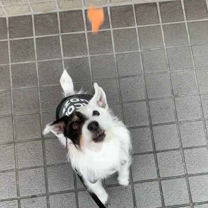 D1f02868 76ec 4b8f b853 57ba2d95b9c2 1684657123272