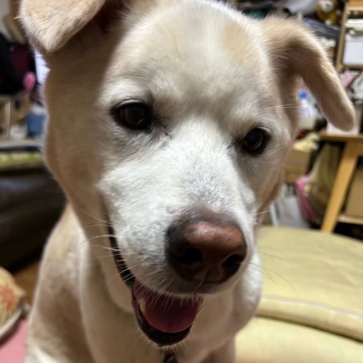 D1f067e8 4aa5 446b 920a 9b5d1d66d572 1752749781544