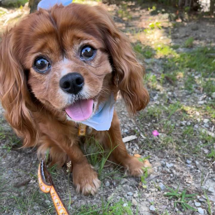 D1f06c64 30e7 4e5f 91fd 15baf420d261 1653863460000