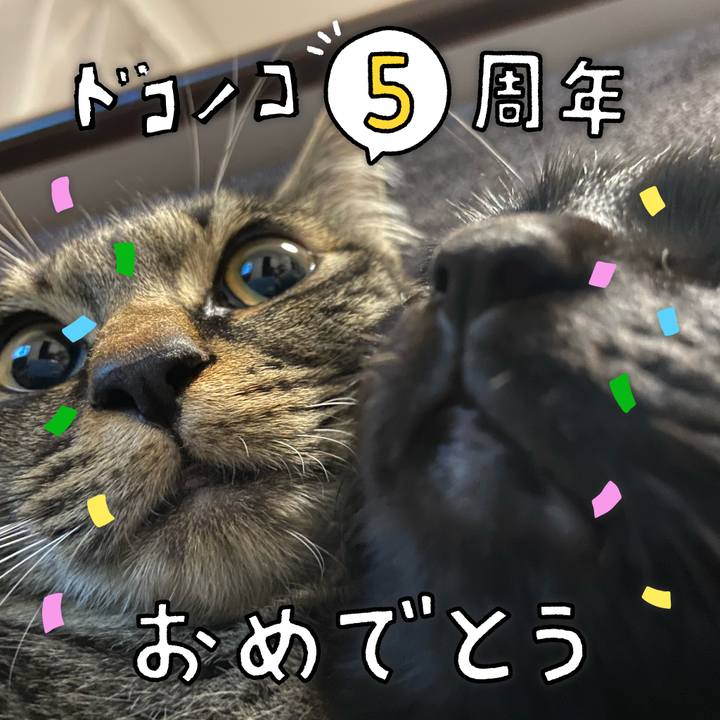 D1f087d6 0c92 4488 9d2e 7dfaeba4809c 1622893425219