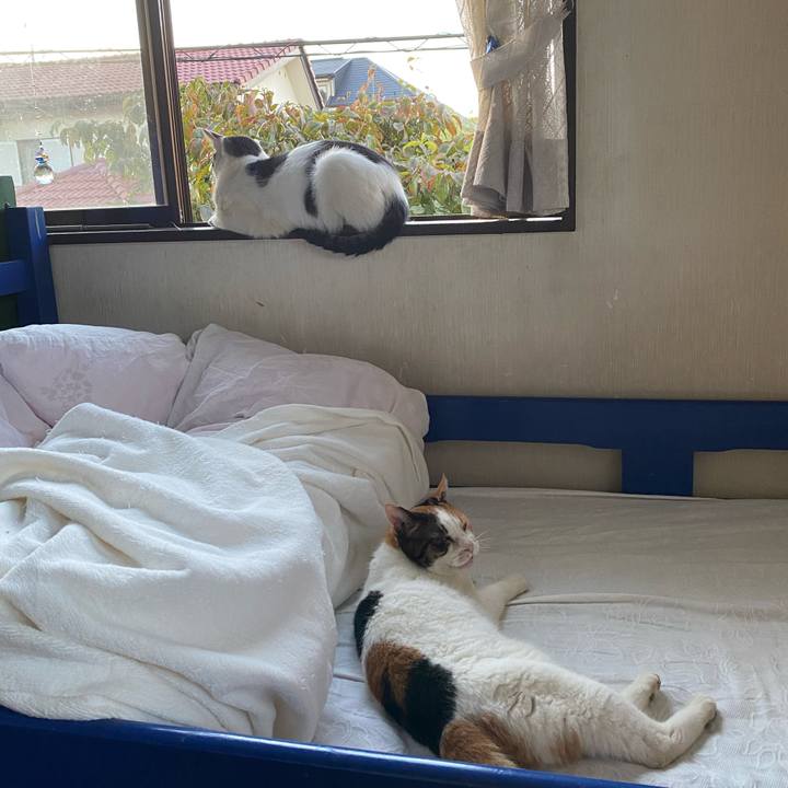 D1f0af86 361f 423b 8f0e e4d0a99a7f6d 1632057404544