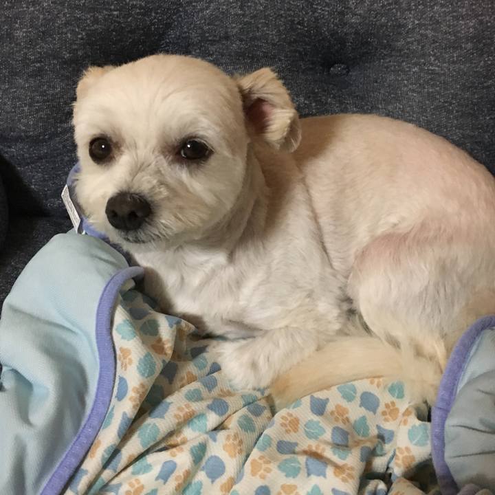 D1f1084d df5a 4b60 ad62 018fda373567 1529494085735