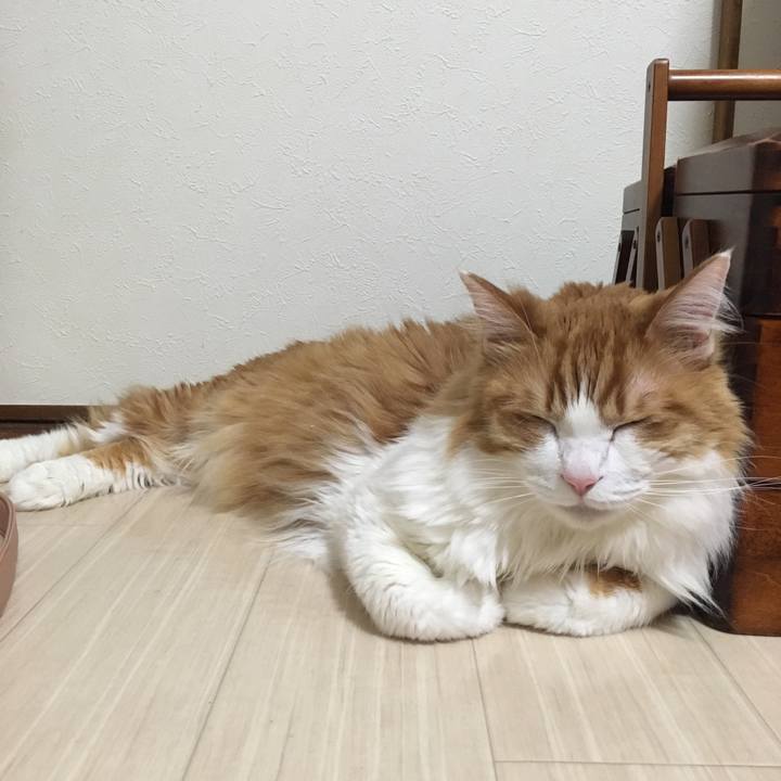 D1f10a50 4fe3 4f58 9999 e88ac3981935 1548425303866