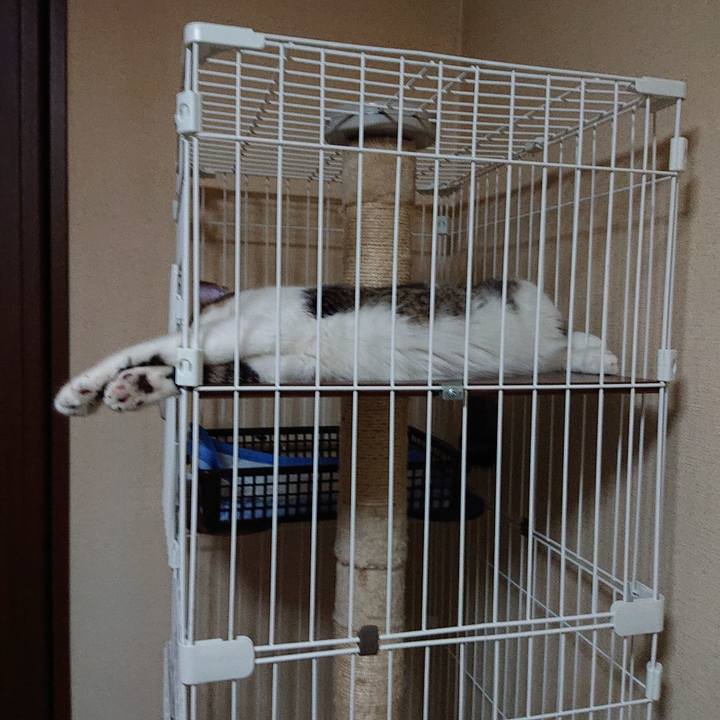 D1f1259f 0bf9 4b90 bb14 82aafc0f663e 1565455322317