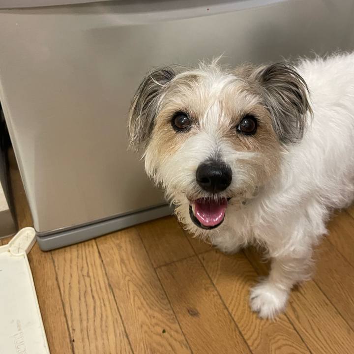 D1f13c62 01fc 4fd3 9948 e4241fb35b26 1772440597899