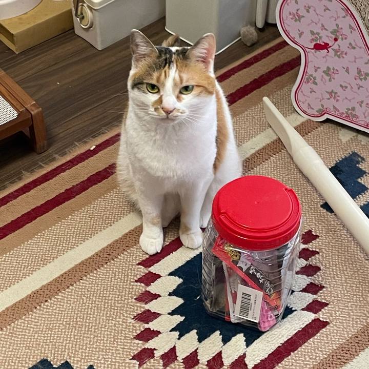 D1f14b99 9f2c 45be a002 98bea4d7cd6b 1654472264185