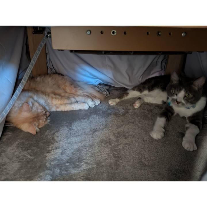 D1f1c700 2b69 4cdc 8355 d591ec2813fa 1735962863051