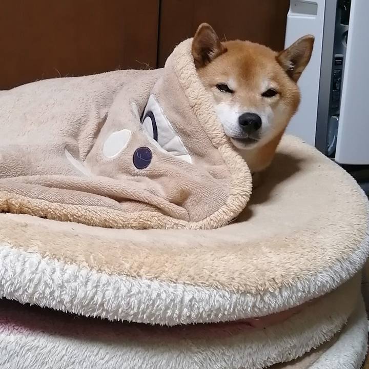 D1f1d552 74f0 4fc2 9a27 b7b4746a7905 1639579708826