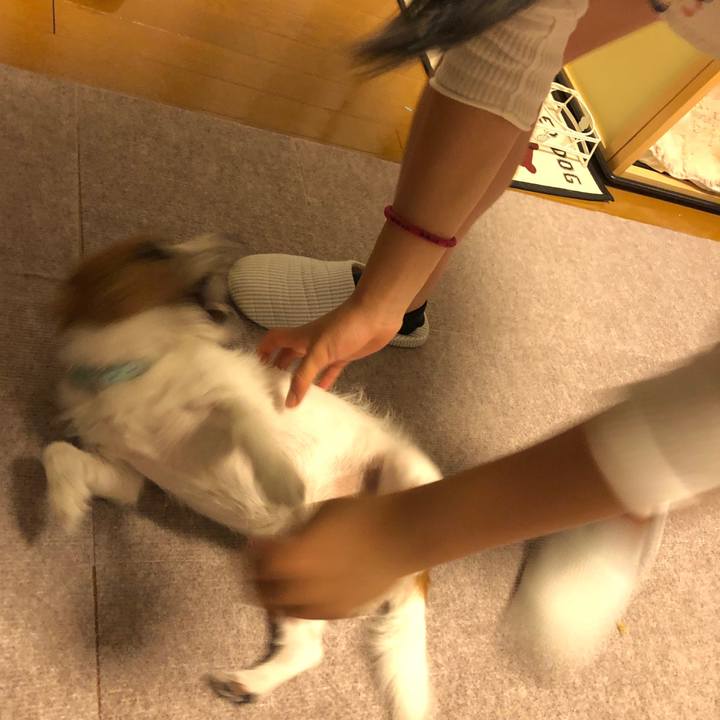 D1f1eefc a8e9 4612 ac64 fe547741d2ef 1560687549130