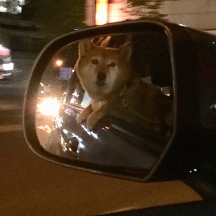 D1f1f0f7 c3ff 45ad b99d f4a497fa2a7e 1556885271079