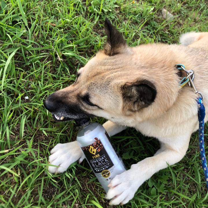 D1f206e4 41fc 4776 a0e7 81d9dbcdf42b 1561638389695