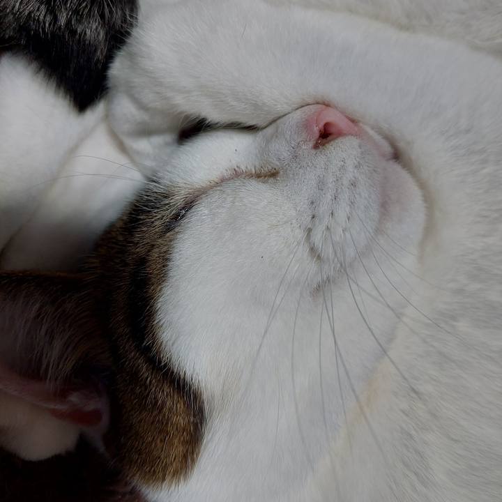 D1f20a31 acda 4fbc b7d9 6ccbc794955f 1636923954468