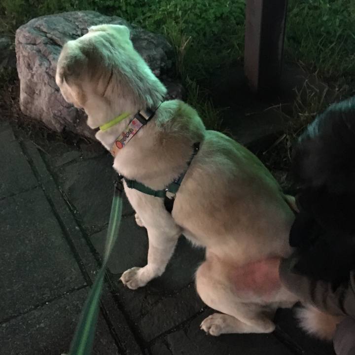 D1f224dd a69f 48b1 91e7 23cc9d7577b1 1516274055614