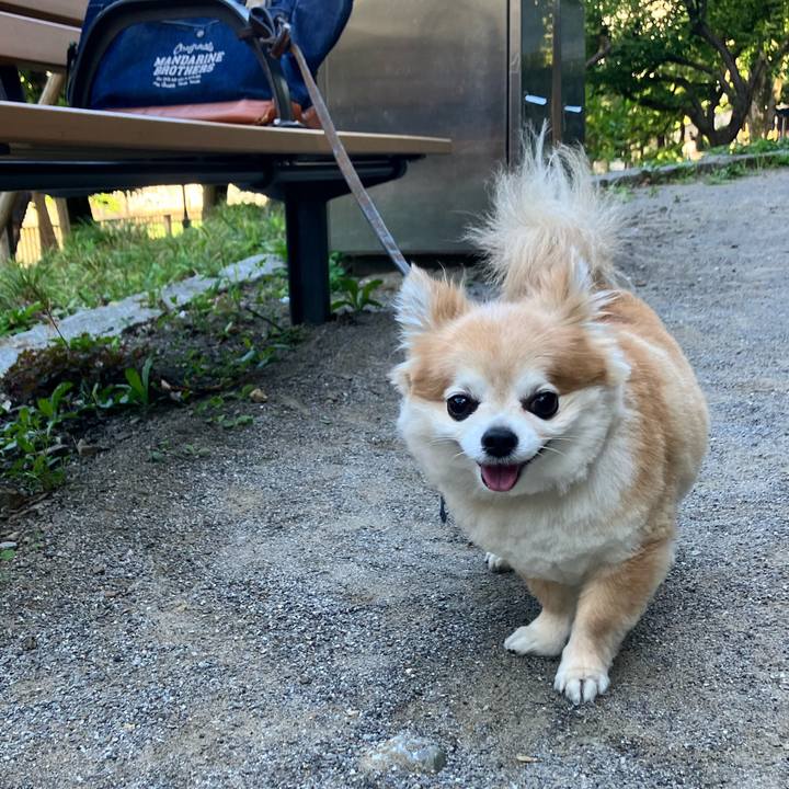 D1f281c9 be68 454f 9a93 62276a1fc433 1752976169462