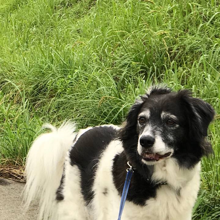 D1f285c0 4711 4bd5 bd2f d110d5d8f7e9 1528593579180