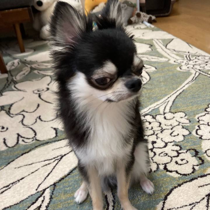 D1f2a199 a268 4910 8a64 6ee4955fb566 1628517046581