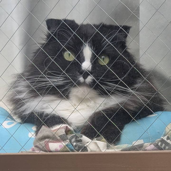 D1f2b49c ec8b 4d72 be03 9180484e491b 1743323607988