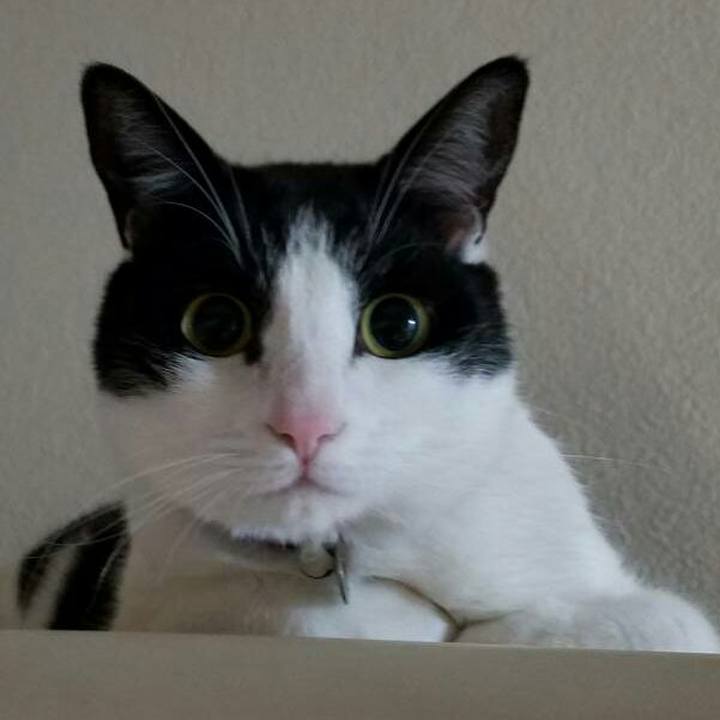 D1f2ba37 3dcc 49b1 a215 e713a1385dd3 1520583299491