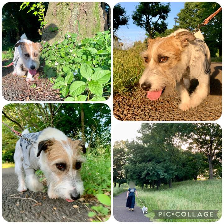 D1f2ccfa 860f 4930 91ae 5cf5c4759f01 1654347870504