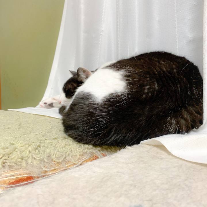 D1f2d894 c4d4 4bb5 a6db 40f54e2534fe 1558921525737