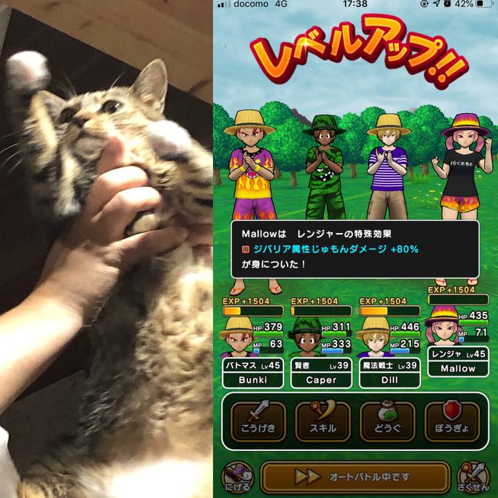 D1f2e6b4 0283 4bd0 9399 98124f374851 1597318836592