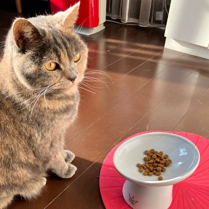 D1f32049 74f2 4785 a5ab 82b831313e92 1774046568439