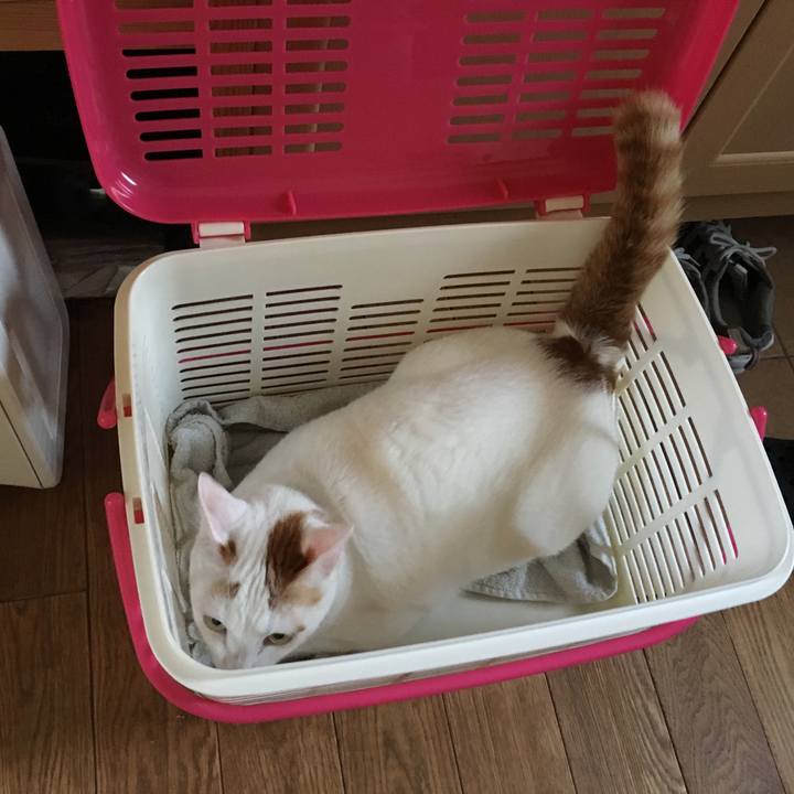 D1f34cf9 7055 40b5 ad47 beaa79af347d 1526771923839