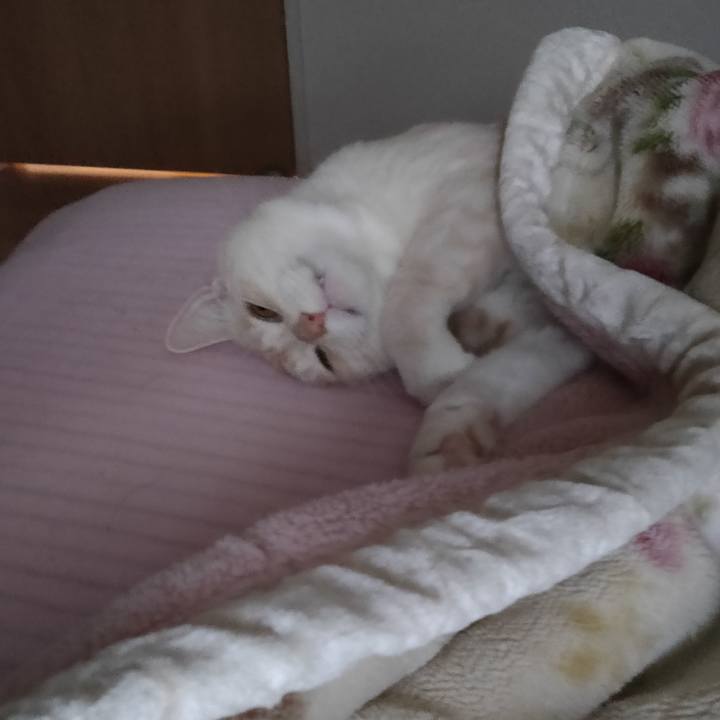 D1f35430 7f6c 440f a185 92c75da5215c 1663882806695