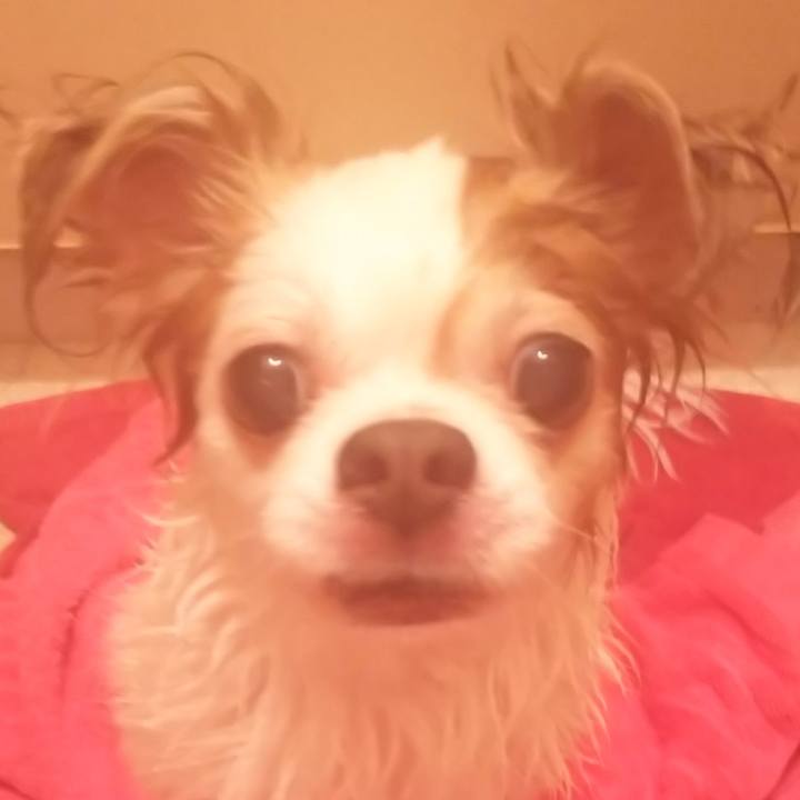 D1f3b106 8944 4445 aa8d 30a432102226 1580479361752