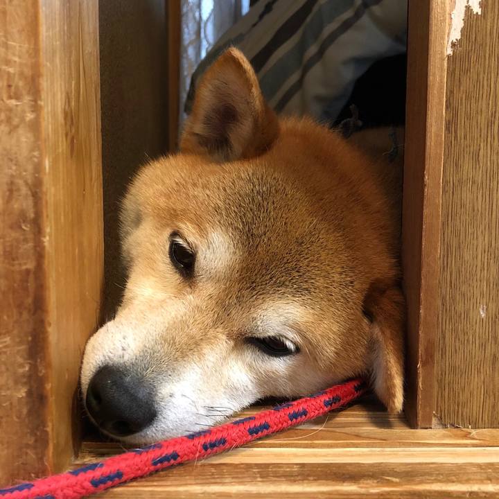 D1f3c38e ae0b 49c1 a09f 60fb31b83728 1529452911412