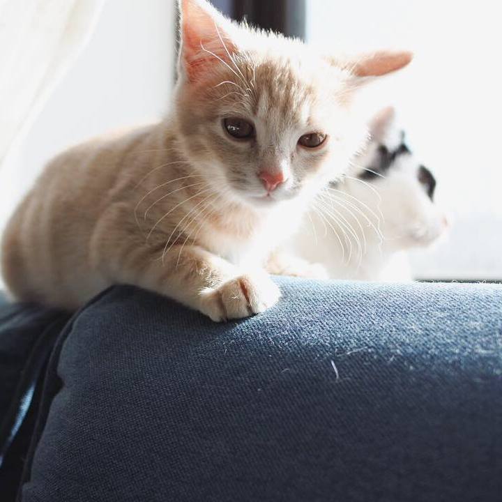 D1f3ebc5 5ad3 48b1 a095 782ff60a4cee 1544840884156