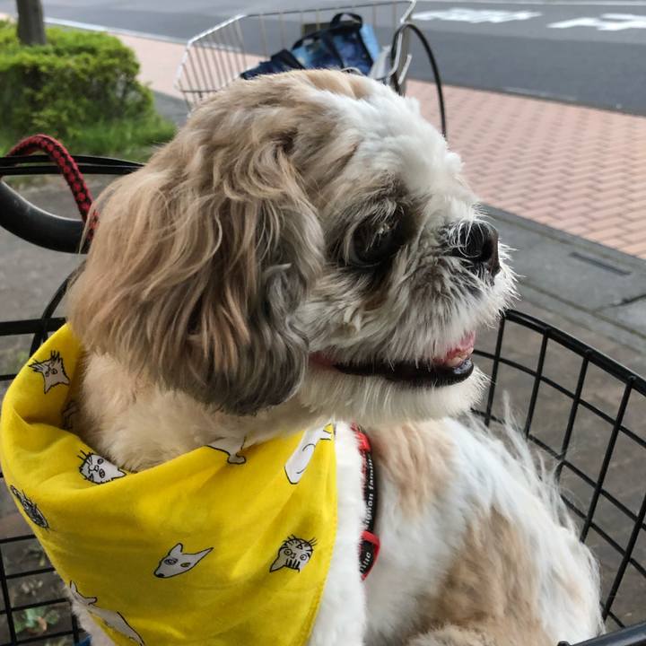 D1f41831 e58b 416b 8cee 06131d6c4902 1565387386345