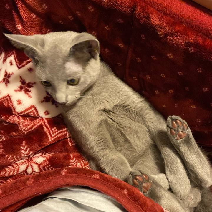 D1f41e46 e458 4209 8ee4 67631217b193 1607672726132