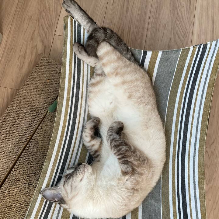 D1f425d6 821a 4ea6 8d46 7745d28f9c64 1597821601624