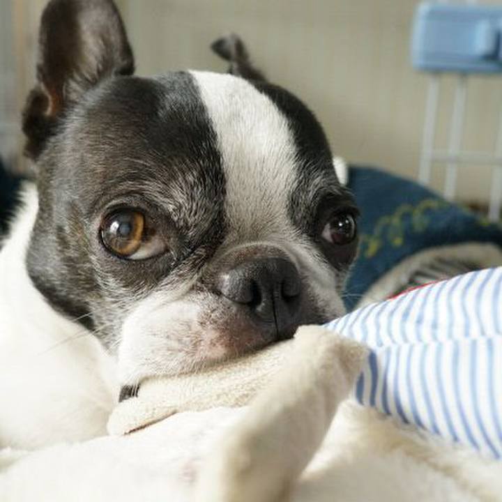 D1f42e1d d618 4851 9414 971b98497db3 1546222388329