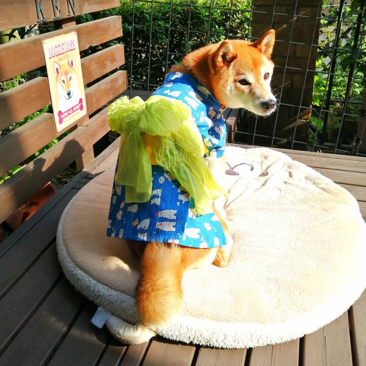 D1f44f0b 9b74 4619 acfb 4af0f816e793 1687071524449