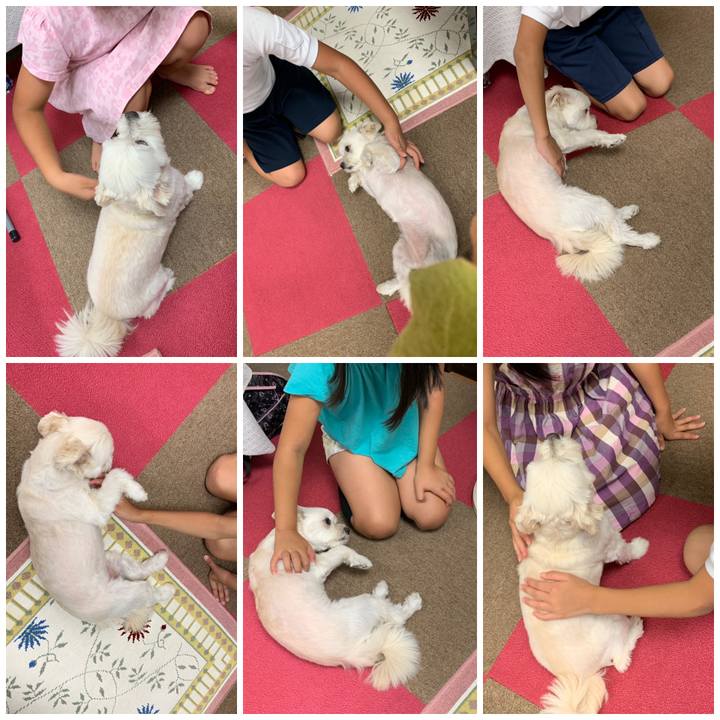 D1f45165 1c0c 417a bc40 503f99231c9e 1568893859932