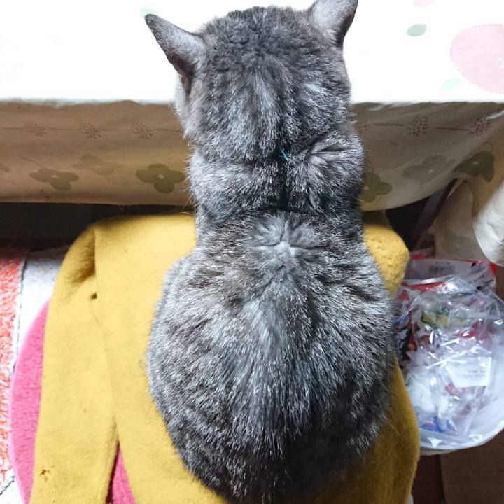 D1f472ef c430 4ec0 acc6 7bb3498b4ee0 1604261904768