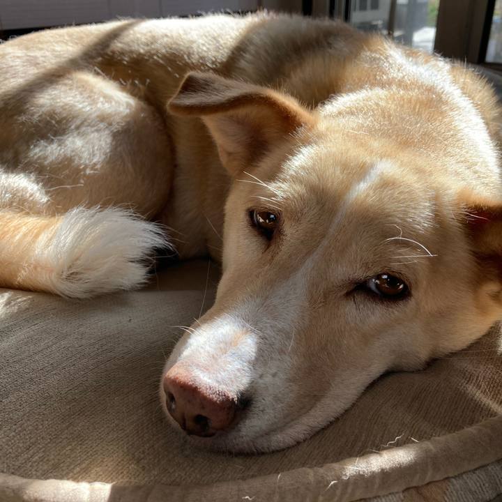 D1f4a9e4 b265 4ae4 83ce 6722d3809015 1672658625649