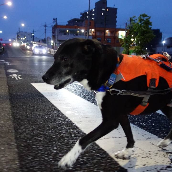 D1f4a9ef a4ca 46ce 83e0 25aceef78345 1746538741014